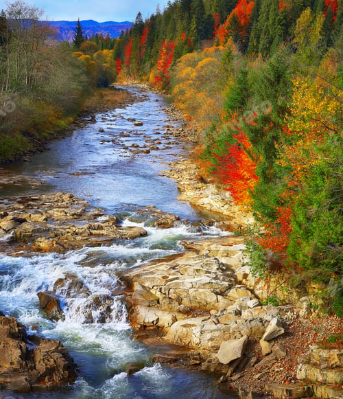Preview: Autumn creek woods and rocks in forest mountain.