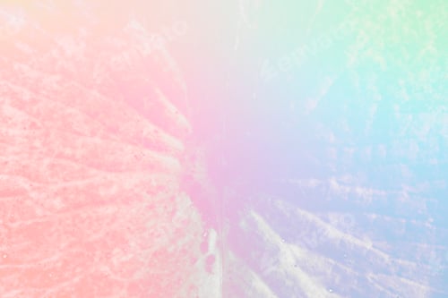 Preview: Bright color water lily leaf macro background