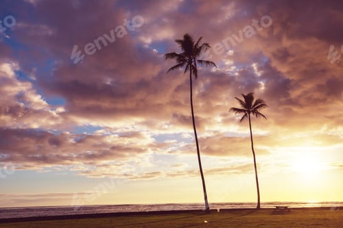 Preview: Hawaiian beach at sunrise