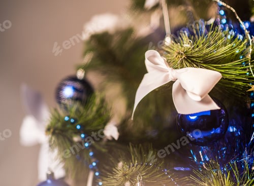 Preview: Close-up of Christmas tree branch