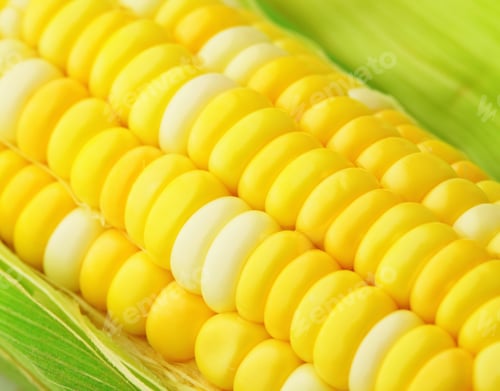 Preview: corn