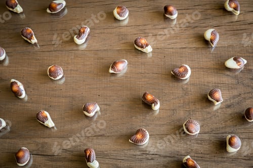 Preview: Seashells chocolates