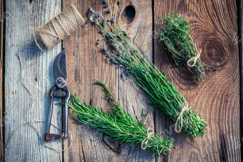 Preview: Closeup of healthy herbs on old wooden table