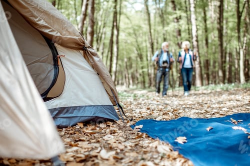 Preview: Senior couple near the campsite in the forest