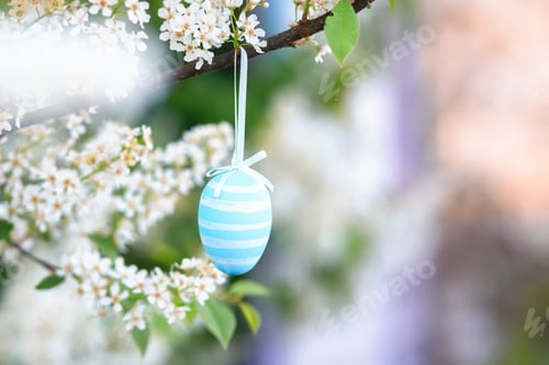 Preview: Embodiment of new life and freshness, painted Easter egg in branch of Prunus padus, bird cherry