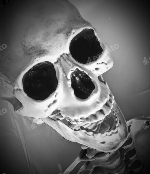 Preview: Skull