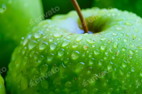 Preview: Fresh, vibrant green apples adorned with beautiful water droplets on their smooth surface