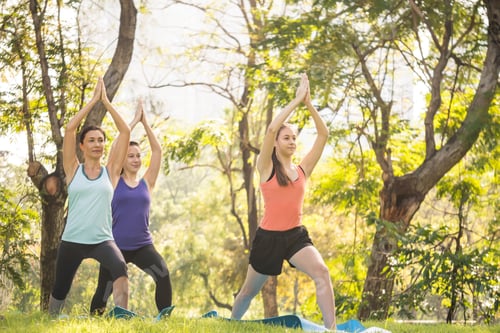 Preview: Group of women doing yoga exercises in the park. Concept of healthy lifestyle.