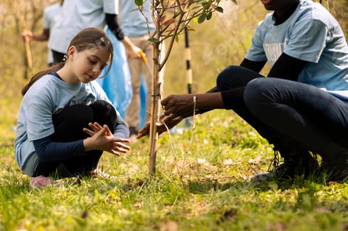 Preview: Young girls activists collaborate to plant more trees in the woods