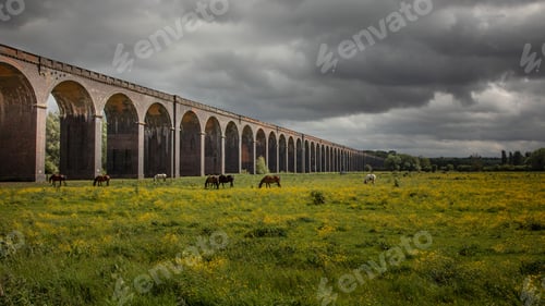 Preview: Welland Viaduct crosses the valley of the River Welland under gray cloudy sky