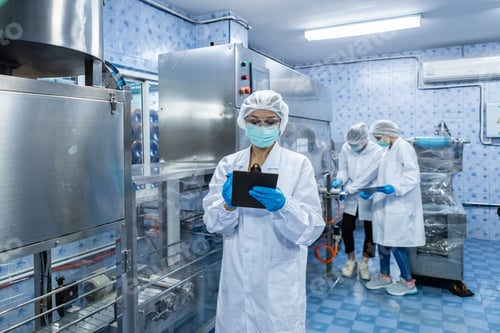 Preview: Quality Control Team Inspecting Food Production Line