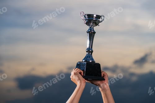 Preview: The winner and successful concept