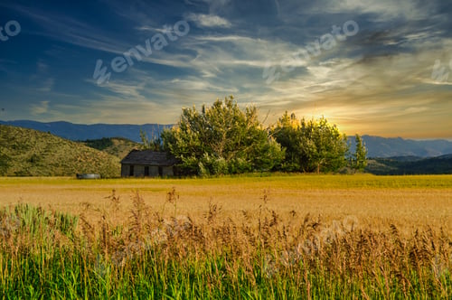 Preview: Beautiful view of a grassy field surrounded by trees and mountains under the sunset sky