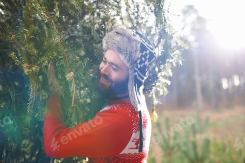Preview: Young man carrying Christmas tree on shoulders in woods