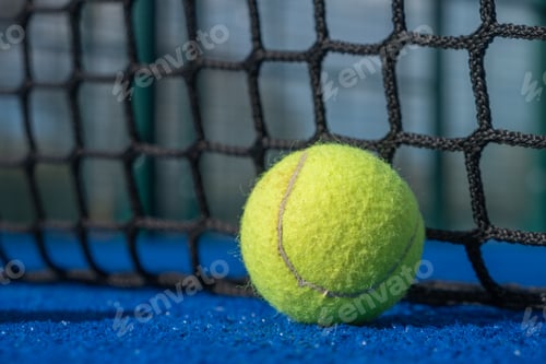 Preview: a ball and net of a paddle tennis court