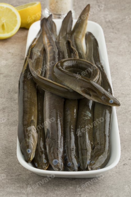 Preview: Plate with fresh raw eels