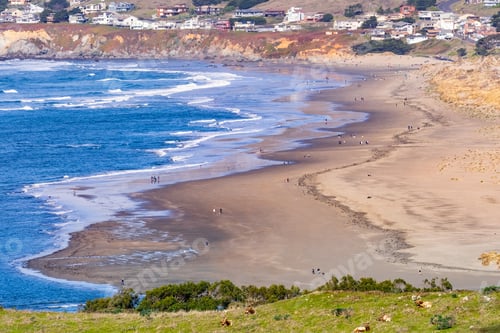 Preview: Aerial view of sandy beach in Bodega Bay