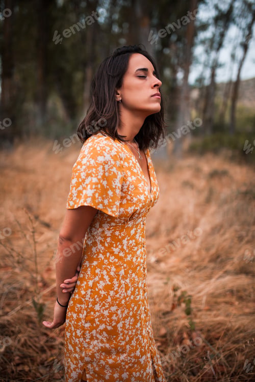 Preview: Outdoor portrait of a beautiful brunette woman wearing a dress in the forest
