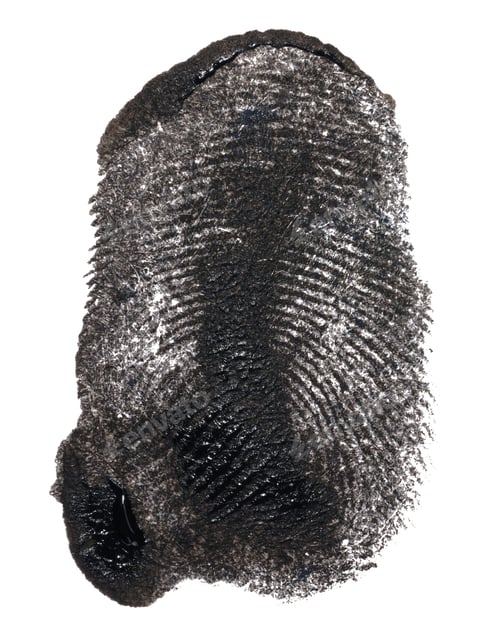 Preview: Index finger print on white isolated background