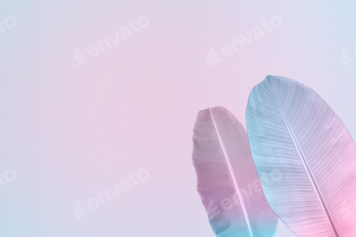 Preview: Tropical and banana leaves in vibrant gradient background. Trendy neon colors minimalist style.