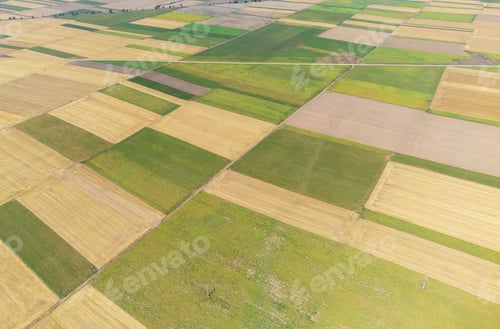 Preview: field with many cultivated plots seen from above
