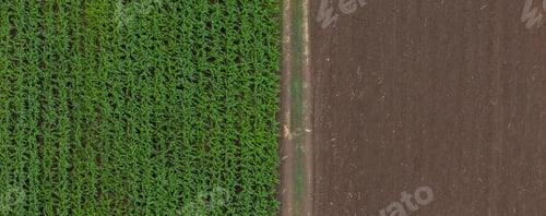 Preview: Aerial top view of a different agriculture fields in countryside on a spring day.