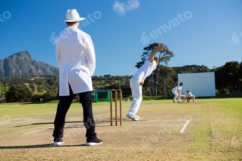 Preview: Sports team playing cricket on pitch