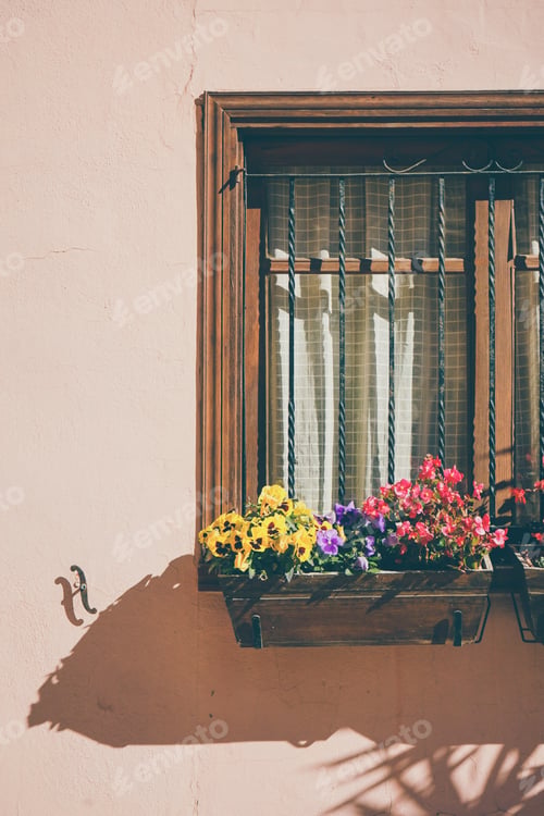 Preview: Window full of colorful plants in a house of Valencia, Spain