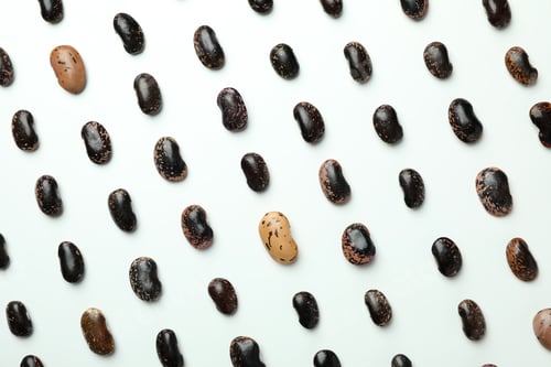 Preview: Flat lay composition with black beans on white background