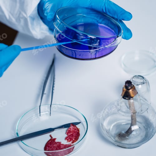 Preview: Food safety