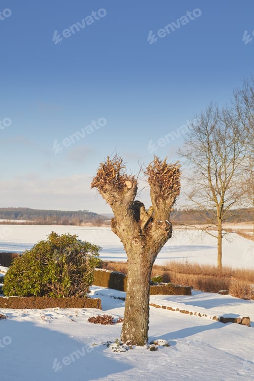 Preview: Wintertime in Denmark. Denmark in winter.