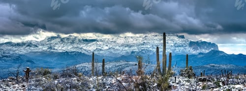 Snowy Cacti Landscape with Mountains and Overcast Sky