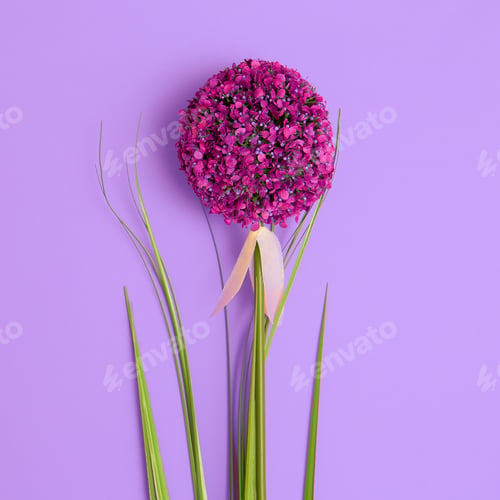 Preview: Exotic flower on a purple background