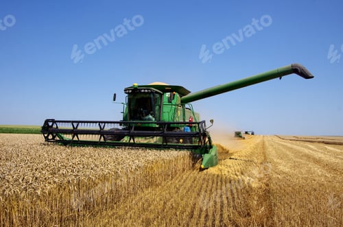 Preview: Combine harvesters during the wheat harvest in an agricultural field.
