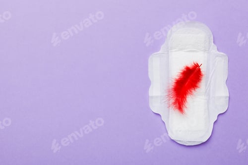 Preview: Women hygiene products or Sanitary pad with red feather on colored background