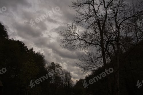 Preview: Day of the Death. Night in a mysterious atmosphere. Copy space.