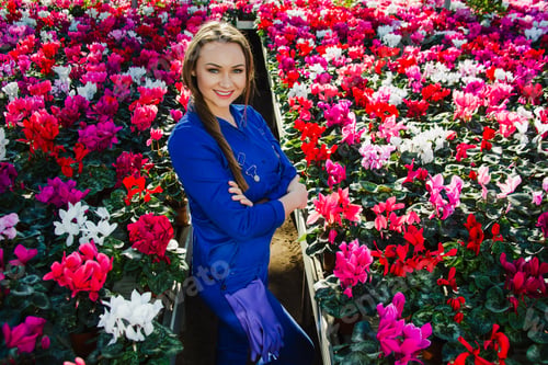 Preview: florist works in the garden center