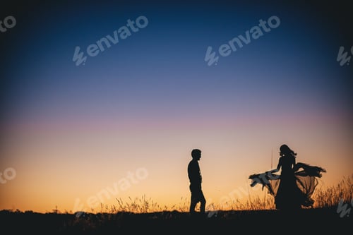 Preview: Romantic Couple Silhouette at Sunrise on a Field