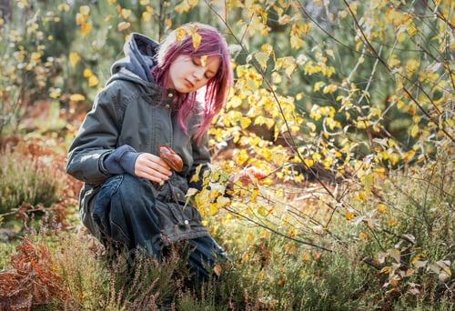 Preview: Girl with pink hair foraging mushrooms in autumn forest