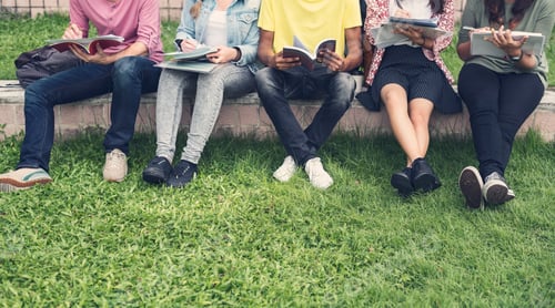 Preview: Young Diverse Group Studying Outdoors Concept