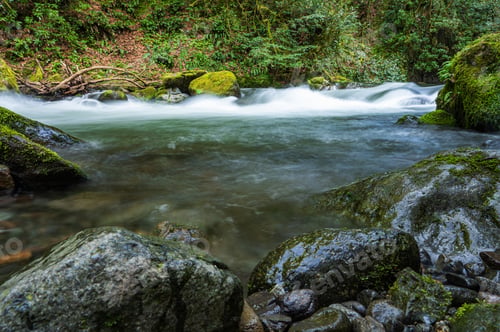 Preview: Beautiful landscape of a mountain river in tropical forest with stones and moss