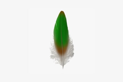 Preview: Feather with gradient and textured tip