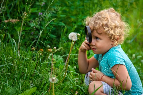 Preview: A child looks through a magnifying glass in nature. Selective focus.