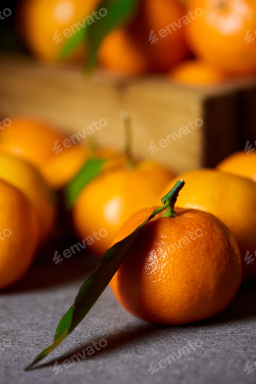 Preview: selective focus of orange clementine near tangerines with green leaves