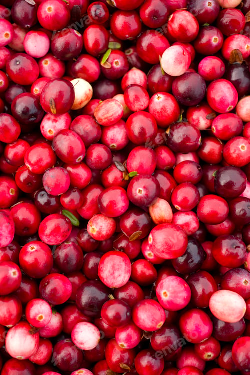 Preview: Cranberries