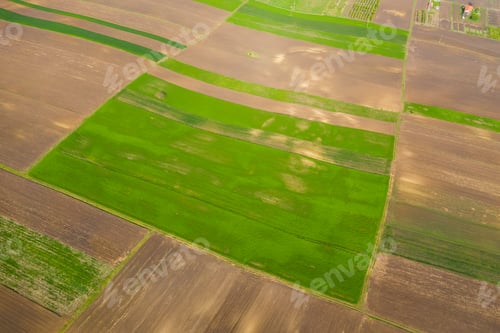 Preview: agricultural hills in spring. Seasonal work concept image.