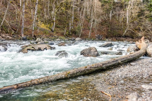 Preview: Water Flows Over Rocks To Create Whitewater In The Green River In Washington State.