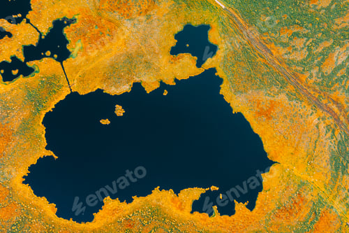 Preview: Miory District, Vitebsk Region, Belarus. The Yelnya Swamp. Upland And Transitional Bogs With