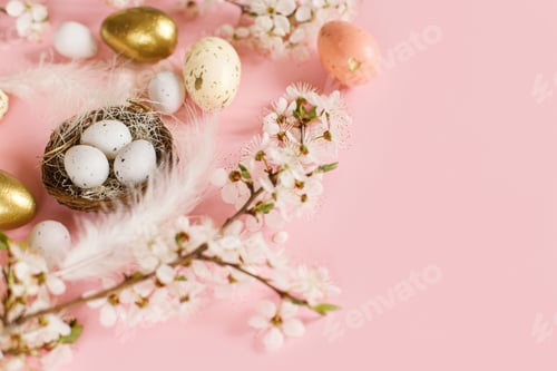 Preview: Stylish Easter eggs in nest, cherry blossoms and feathers on pink background with copy space