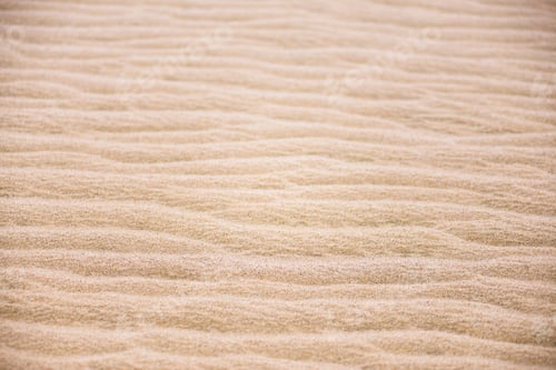 Preview: Sand close up detail at Te Paki Sand Dunes, 90 Mile Beach, New Zealand